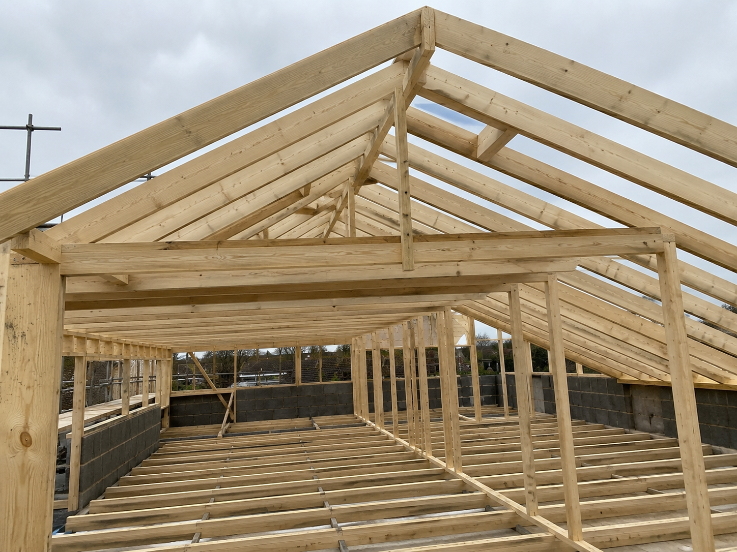 Roof joists and structural timberwork