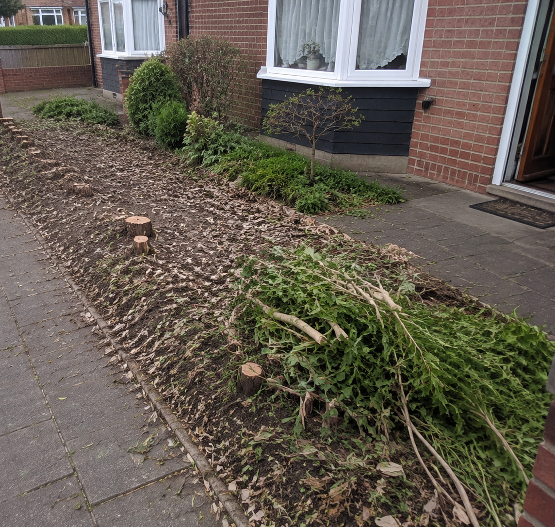 Front garden cleared after hedge work