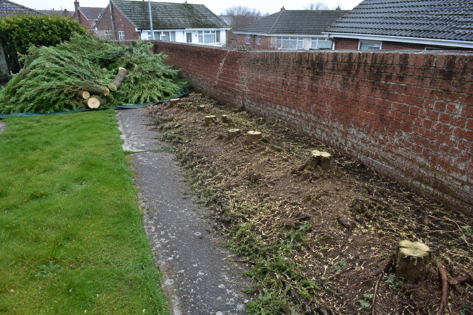 Garden boundary after hedge removal