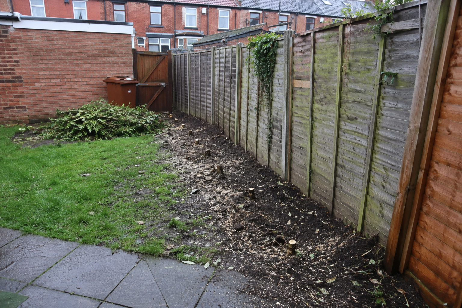 Cleared hedge line beside garden fence