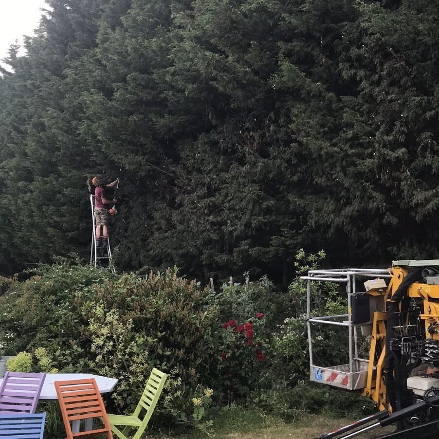 Tree care equipment at a garden job