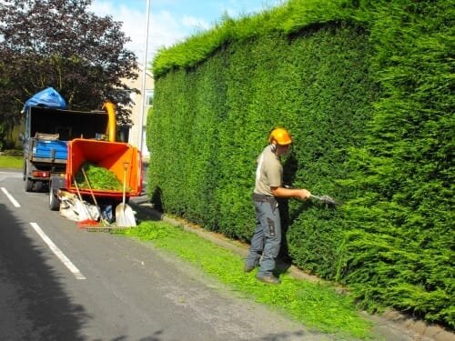 Hedge maintenance alongside a property