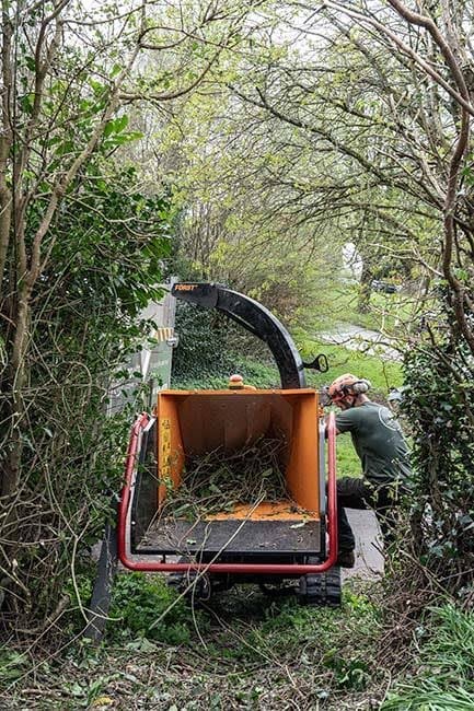 Branches being processed through a wood chipper